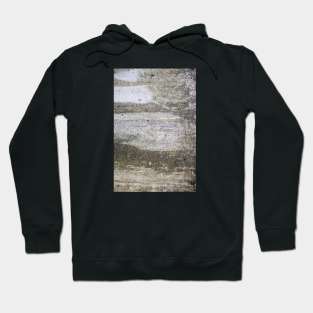 Fungus on a concrete wall Hoodie